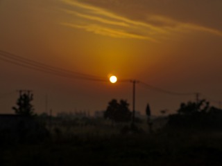 1000011636