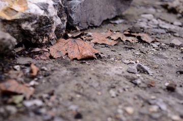_DSC8143.jpg