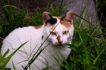 _DSC7978.jpg