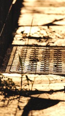 DSC07512.jpg
