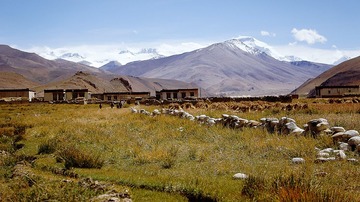 DSC01865 