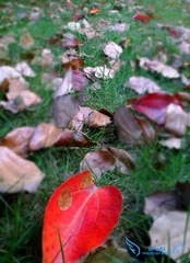 20121009_048.jpg
