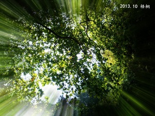 DSC04767_