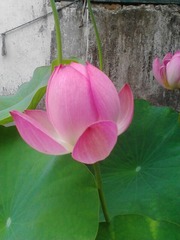 IMG_20130706_4.jpg