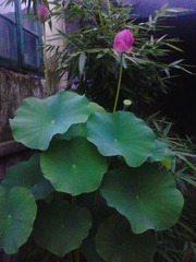 IMG_20130711_2.jpg