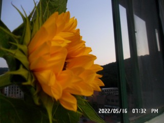 2A439DC9-065E-441B-A9DF-EE78C5E18AB7/L0/001