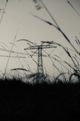 B811BF91-8E8B-41CE-9CBE-6E6BEAFD2995/L0/001