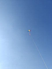 1000052384