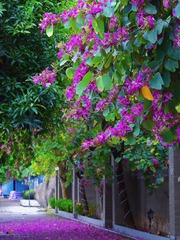 7F57A611-AC63-40B5-A53F-FF0403C0A70F/L0/001