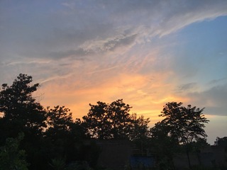 55F3358A-FFBE-49B6-BD1E-FFA82995DF5C/L0/001