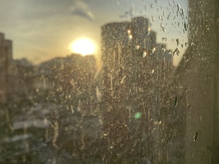C1BB21C4-AF52-464E-ADAF-E239B19E6B7D/L0/001
