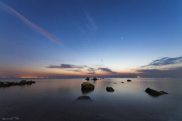 IMG_4567.jpg