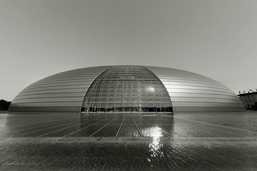 IMG_3369.jpg