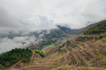 IMG_45651-1