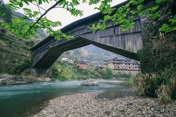 IMG_4402-1
