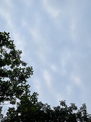 E6057418-A12C-4AA8-9C72-6A060085C1AA/L0/001