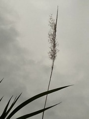 C7E96AE4-C010-403E-B4A5-351A42BFEC6A/L0/001