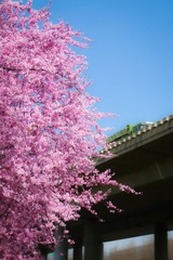 86D23A7A-7EB6-4A62-959C-1E8A4049934F/L0/001