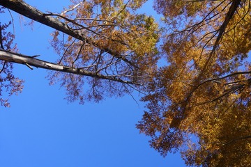6C170CF5-23B8-4294-8EED-D4FA8CA290A9/L0/001