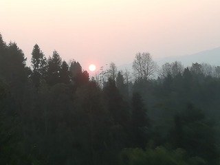 459723