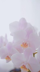 9D869FEF-EFA4-421F-A8DD-7D378E5798E6/L0/001