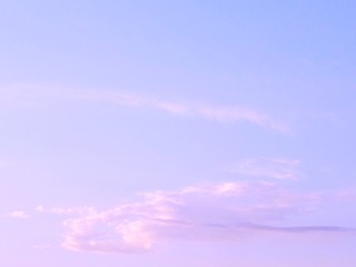 50624
