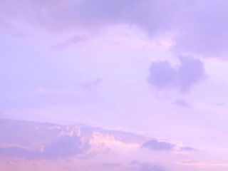 45663