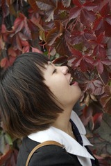 _SAM0948.JPG