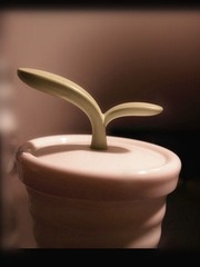 _SAM1558_副本.jpg