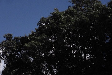 81D9CE17-268E-4227-B4C4-9D122279A194/L0/001