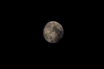 5782E368-123F-4D84-91B4-BEE0CA599382/L0/001