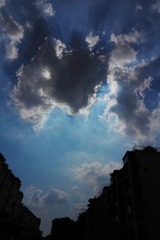IMG_2995.JPG