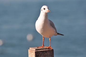 890901