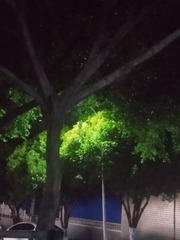 205501