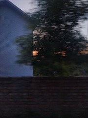 253041