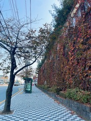 B9AA3546-B4D4-4CD0-B683-3FFBEA279533/L0/001