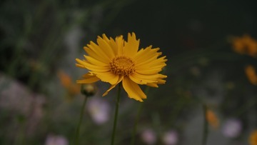 40D4986B-5E5A-439B-8793-8FAC2CE96B6A/L0/001