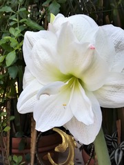 IMG_20230417_161333