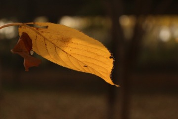 55AF7C44-B955-47DD-843C-780D7E10A3AF/L0/001
