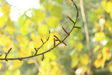 55F77BB6-5642-4CC2-801D-A7D16015CB5B/L0/001