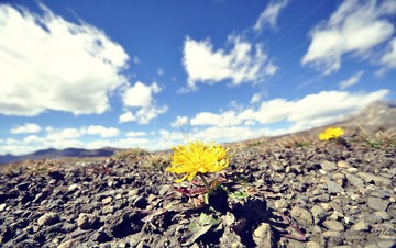 _DSC0124