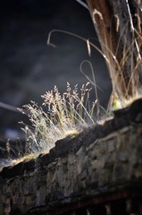_DSC0319