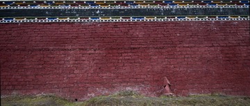 _DSC0255