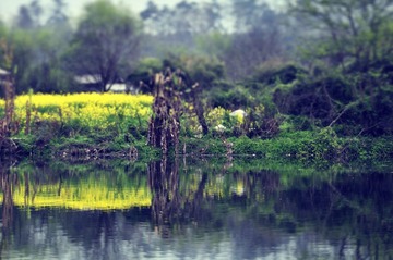 _CSC9042