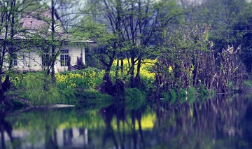 _CSC9043