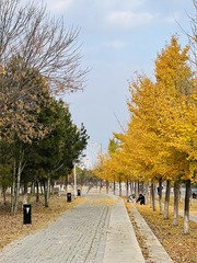 C2FB2B34-8F3B-4955-8003-383EB1437408/L0/001