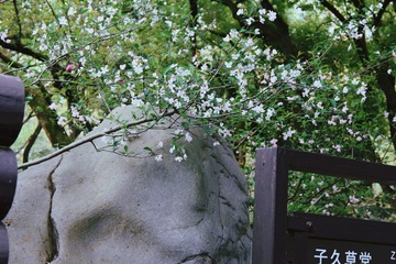 A660FD39-3CB3-4A0C-A441-62D5B516FB82/L0/001