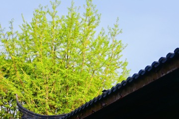 F271C451-4FB9-4C45-959C-B46F92BEC8F6/L0/001