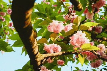 2442ED01-00CD-4E3D-936C-952A29C0A939/L0/001