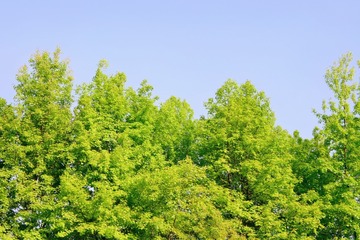 135DB764-AD1F-4D7A-8BA9-B4104FA57727/L0/001